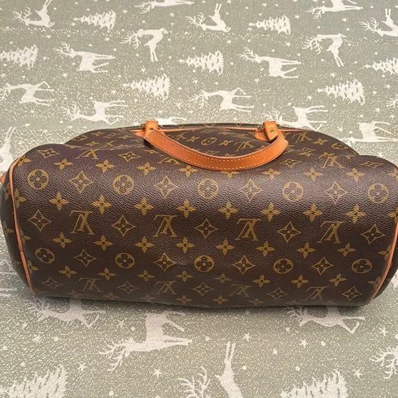 Louis Vuitton Monogram Canvas Bag - Picture 4 of 5